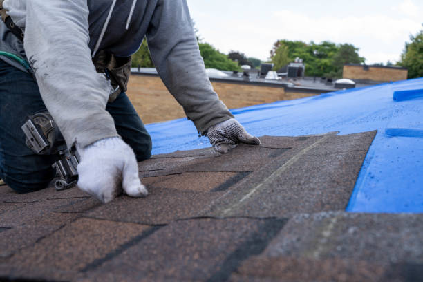 Best Gutter Installation and Roofing  in Tompkinsville, KY