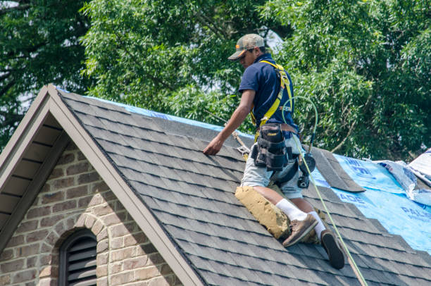 Best Roof Restoration Services  in Tompkinsville, KY